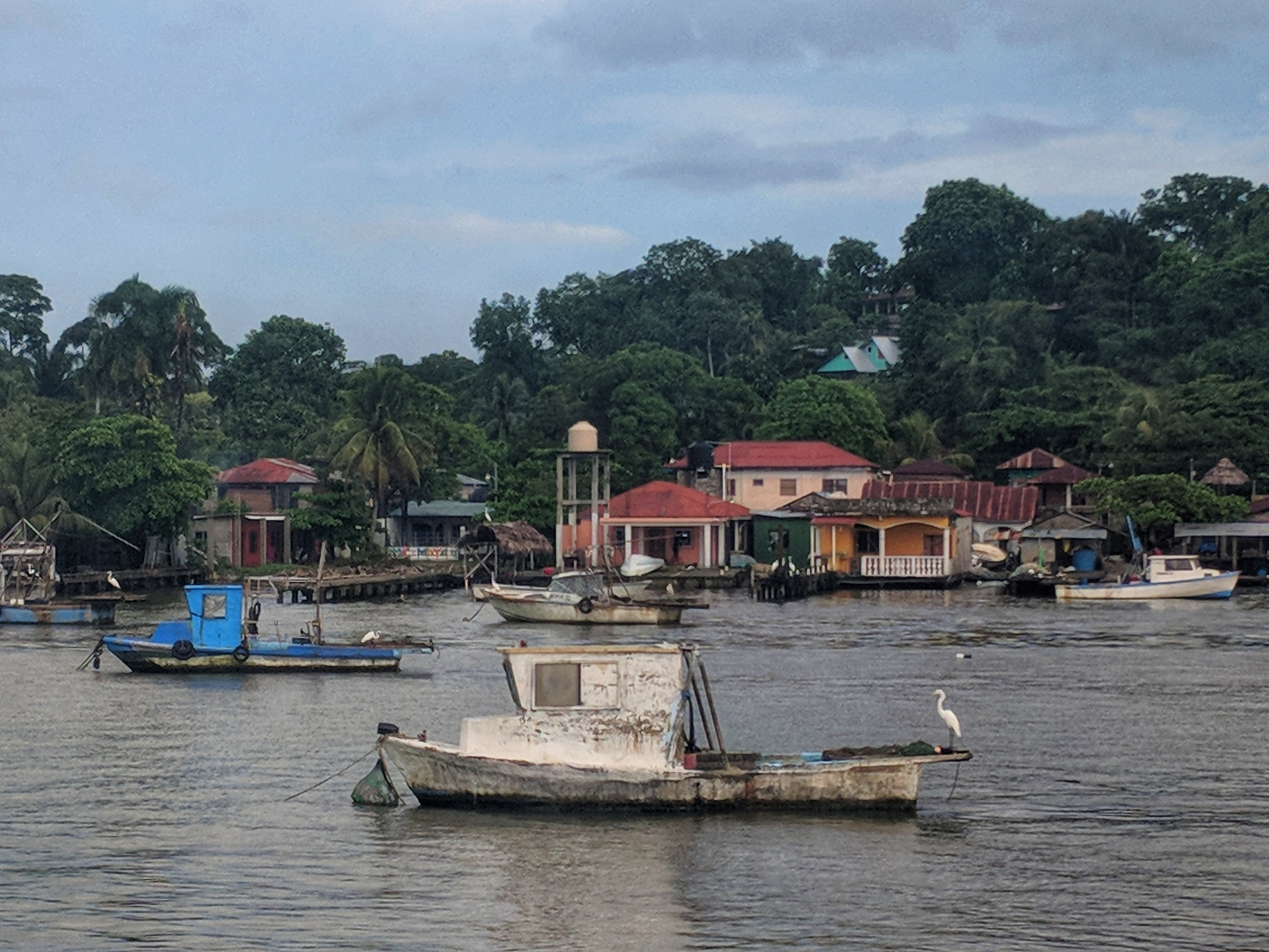 The Fishing Fleet of Livingston