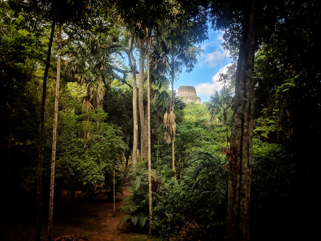 The Lost World of Tikal