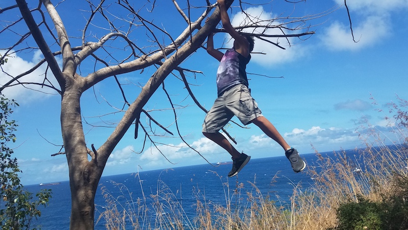 Kyle loves to climb trees